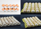 廃棄紙 自動 完全自動 卵皿 機械 コンパクト 構造 操作 簡単 紙皿 の 種類